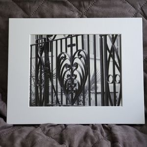 Wrought Iron Fence 11x14